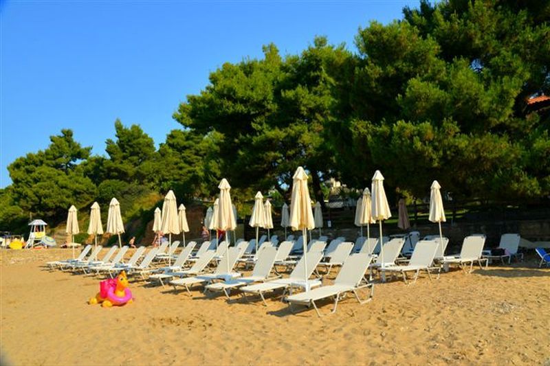 hoteli grcka/metamorfozis/golden beach/metamorfosis-golden-beach-hotel-grcka-leto-033.jpg
